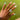 Hand with decorative bikini competition ring and pastel nail polish against a blurred green background