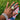 A person's hand showcasing a stretchable bracelet with multicolored rhinestones.